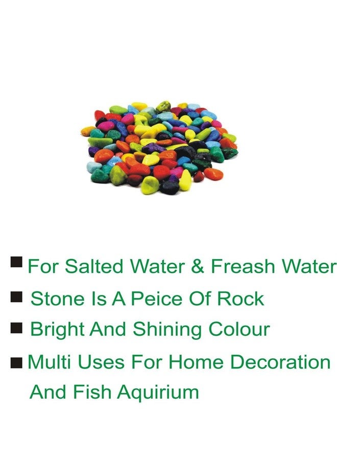 Afast Multicolor Pabbles/Stone for Garden, Plants, Aquarium & Home Decor, Marvels, Decoration, Fish Aquarium, Vase Filler, 0.5 KG -AT1 - Image 3